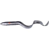 Силикон Savage Gear 3D Real Eel, 5,90", 15 см, 12 г, 1 шт, 20, купить, цены в Киеве и Украине, интернет-магазин | Zabros