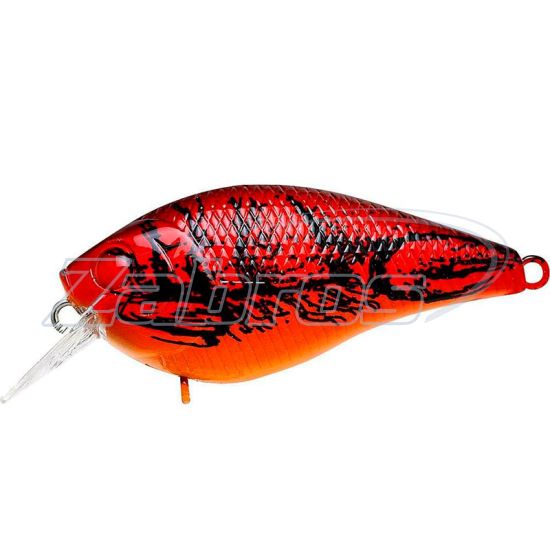 Фото Lucky Craft LC 1.0, 5,5 см, 10 г, 0,9 м, LC-1-0-137TOCR Фото Lucky Craft LC 1.0, 5,5 см, 10 г, 0,9 м, LC-1-0-137TOCR