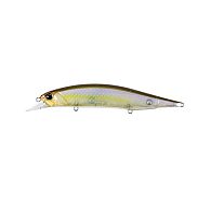 Воблер DUO Realis Jerkbait 120SP, 12 см, 18 г, 1,8 м, CCC3176, купить, цены в Киеве и Украине, интернет-магазин | Zabros