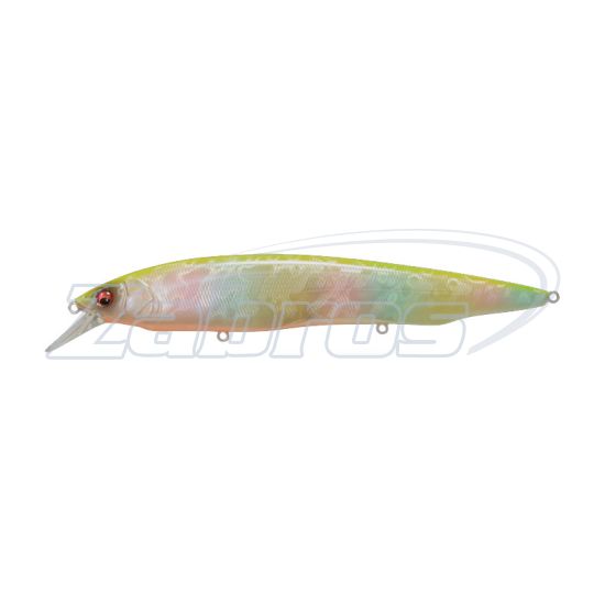Фото Megabass Kanata SW 160F, 16 см, 31 г, 2,2 м, Shell Skin Chart Back Rainbow