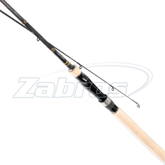 Картинка Daiwa-AR, TD-802MLFS-AR, 2,44 м, 5-15 г