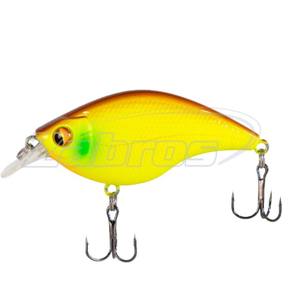 Фото X-Fish Bobby 60F, 6 см, 9,5 г, 2,3 м, 004