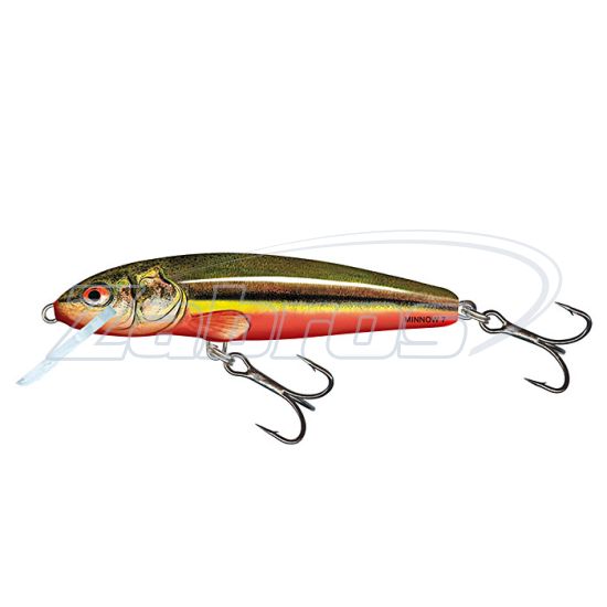 Фото Salmo Minnow, 6 см, 4 г, 1,5 м, M6S-RBD