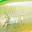 Clear Lime Chart