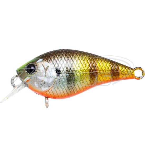 Фото Lucky Craft LC 0.3, 3,8 см, 3 г, 0,3 м, LC-0-3-175FFKB Фото Lucky Craft LC 0.3, 3,8 см, 3 г, 0,3 м, LC-0-3-175FFKB