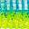 Electric Blue/Chartreuse