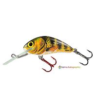 Воблер Salmo Hornet, 3,5 см, 2,2 г, 1,5 м, H3F-RIP, купить, цена, Киев, Украина | Zabros
