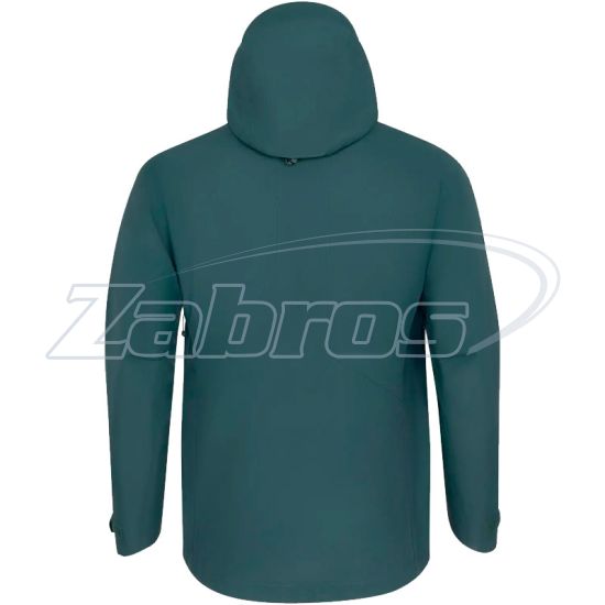 Картинка Frontier Saxifraga, XXXL, Dark Green