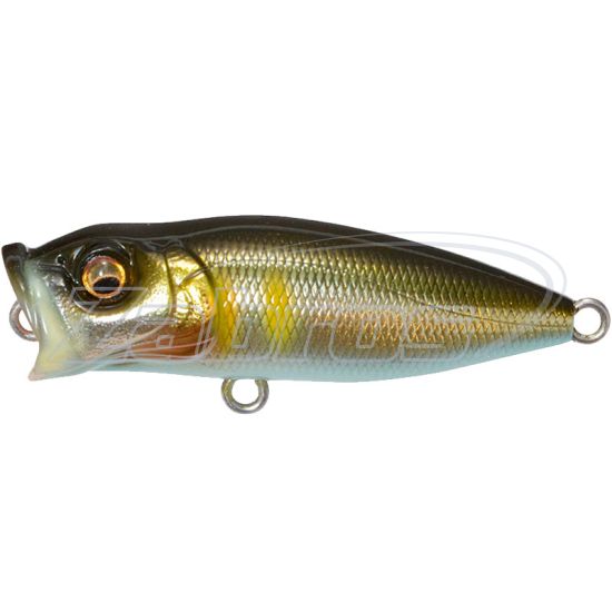 Фото Megabass Baby PopX 50F, 5 см, 5,3 г, Takumi Seochi Ayu