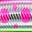 Pink Yamame Chart Berry