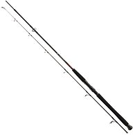 Спиннинг Daiwa Exceler Catfish Spin, 11819-241, 2,40 м, 185 г, купить, цены в Киеве и Украине, интернет-магазин | Zabros