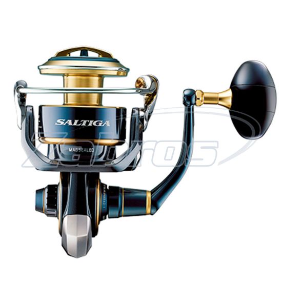 Цена Daiwa 20 Saltiga, 8000-H