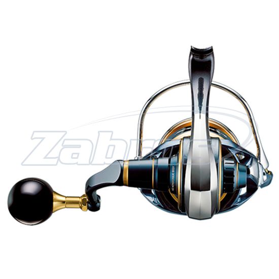 Купити Daiwa 20 Saltiga, 8000-P