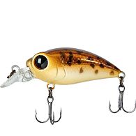 Воблер Smith Camion Magnum SR, 3,6 см, 3,1 г, 0,5 м, 10, купити, ціна, Київ, Україна | Zabros