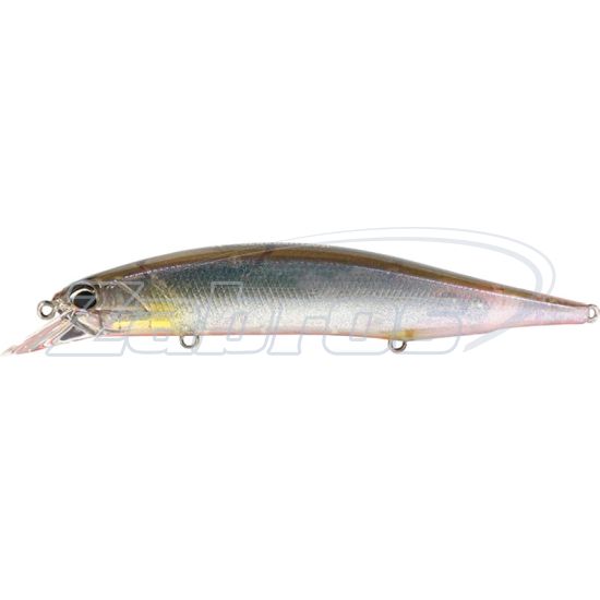 Фото DUO Realis Jerkbait 120SP, 12 см, 17,8 г, 1,8 м, CCCZ170