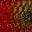 Red Bullhead UV