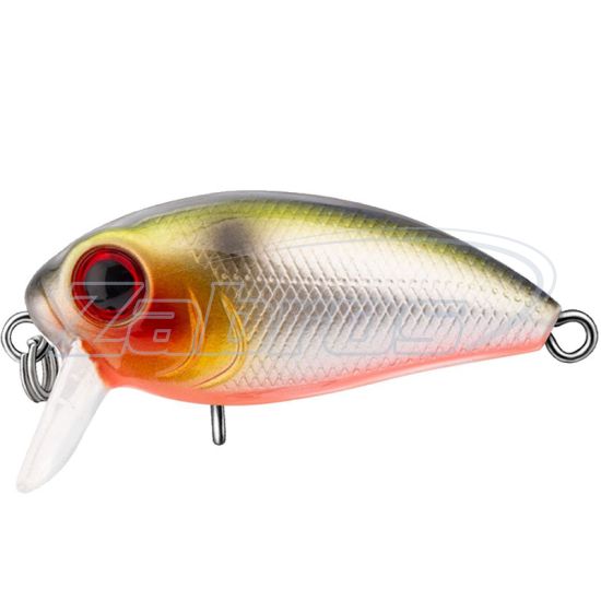 Фото Trident Riot SSR 36F, 3,6 см, 3,5 г, 0,4 м, 039 Фото Trident Riot SSR 36F, 3,6 см, 3,5 г, 0,4 м, 039