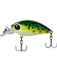 Воблер Smith Camion Magnum SR, 3,6 см, 3,1 г, 0,5 м, ROG, купити, ціна, Київ, Україна | Zabros Воблер Smith Camion Magnum SR, 3,6 см, 3,1 г, 0,5 м, ROG, купити, ціна, Київ, Україна | Zabros