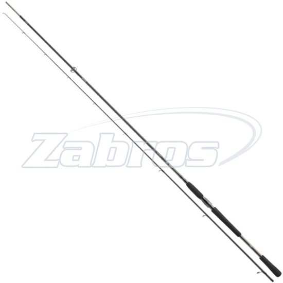 Фото Daiwa Pro Staff LD Sea Trout Spin, 11326-320, 3,2 м, 10-35 г