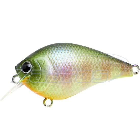 Фото Lucky Craft Fat CB BDS 1, 4,9 см, 7 г, 0,3 м, FATCBBDS1-269BEGL