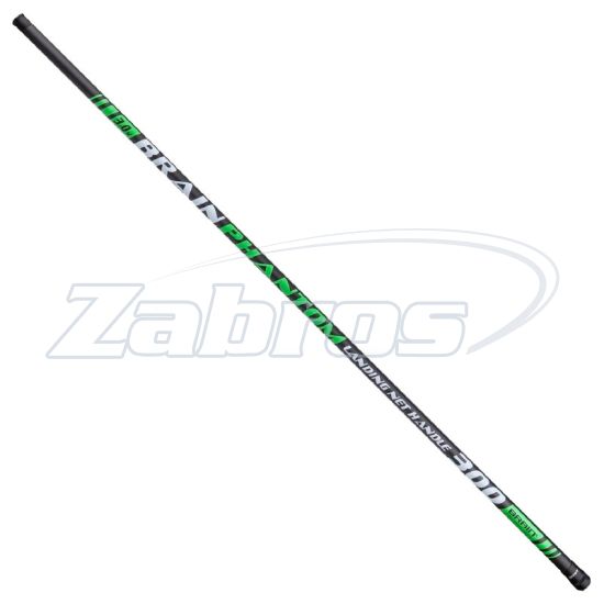 Фото Brain Phantom, 3,5 м Фото Brain Phantom, 3,5 м