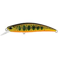 Воблер DUO Spearhead Ryuki 70S, 7 см, 9 г, 1 м, MCC4084, купити, ціна, Київ, Україна | Zabros