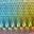 GLX Blue Pink Rainbow