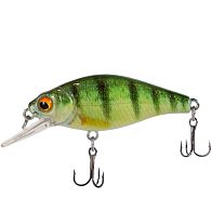 Воблер X-Fish Chipotel 50F, 5 см, 6 г, 1,5 м, 289, купить, цена, Киев, Украина | Zabros Воблер X-Fish Chipotel 50F, 5 см, 6 г, 1,5 м, 289, купить, цена, Киев, Украина | Zabros