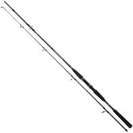 Спінінг Daiwa Seahunter X Pilk Cod, 11533-276, 2,7 м, 100-200 г, купити, ціна, Київ, Україна | Zabros