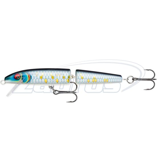 Фото Rapala Jointed 110F, 11 см, 9 г, 2,4 м, SCRB