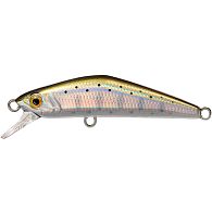 Воблер Smith D-Compact 45FS, 4,5 см, 3,5 г, 1 м, 06, купить, цена, Киев, Украина | Zabros