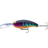 Воблер Daiwa Prorex Fuku Hayate Crank 55F, 15260-509, 5,5 см, 7 г, 2 м, Blue Tiger, купить, цены в Киеве и Украине, интернет-магазин | Zabros