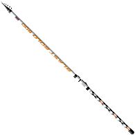 Болонское удилище Brain Blast Bolo, 6,30 м, купить, цена, Киев, Украина | Zabros