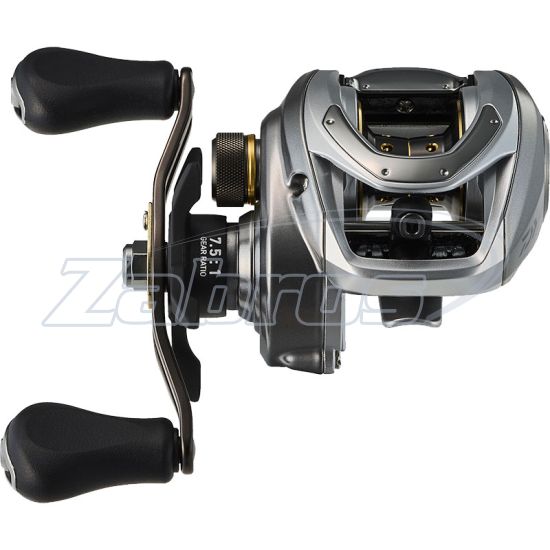 Фотография Daiwa 24 Bass X100, 100HL