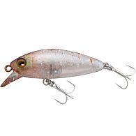 Воблер Jackall Abbey Minnow 38SF, 3,8 см, 2,4 г, 0,5 м, Koika, купити, ціна, Київ, Україна | Zabros