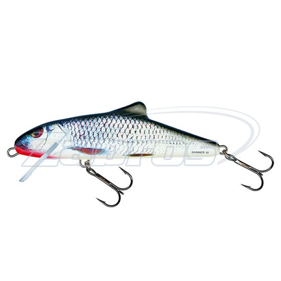 Фото Salmo Skinner, 10 см, 15 г, 1,5 м, SK10F-RGS