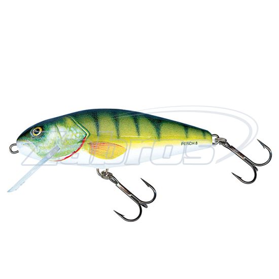 Фото Salmo Perch, 14 см, 58 г, 12 м, PH14SDR-PH