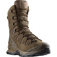 Ботинки Salomon Quest 4D Forces 2 High Gore-Tex EN, L47234100, 11,5, Earth Brown, купить, цены в Киеве и Украине, интернет-магазин | Zabros
