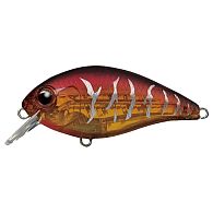 Воблер Ever Green Combat Crank 60, 5,8 см, 13 г, 0,3 м, 19, купити, ціна, Київ, Україна | Zabros