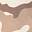 Woodland Camo Sandbar