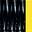 Black/Yellow