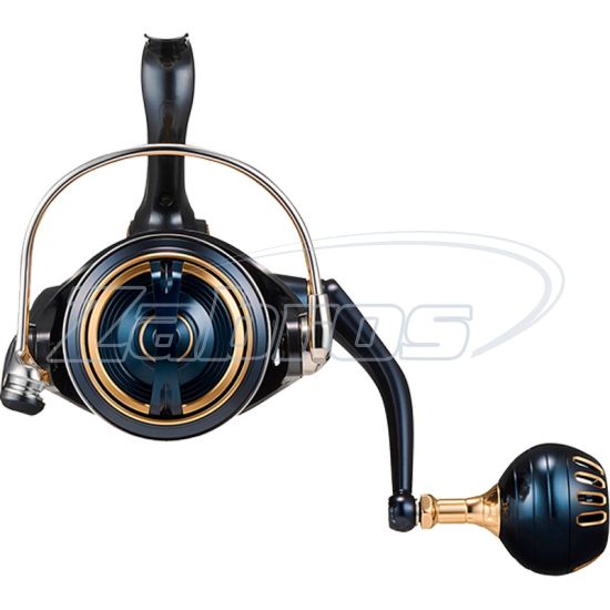 Малюнок Daiwa 25 Saltiga, 10313-080, 8000-P