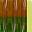Green Weenie