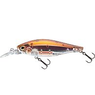Воблер Daiwa Tournament Tightwave Shad 75F, 16712-004, 7,5 см, 9 г, 1,5 м, Wakasagi, купить, цена, Киев, Украина | Zabros