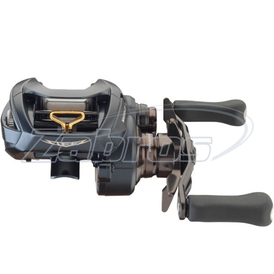 Картинка Daiwa Steez A II TW, 1000XHL