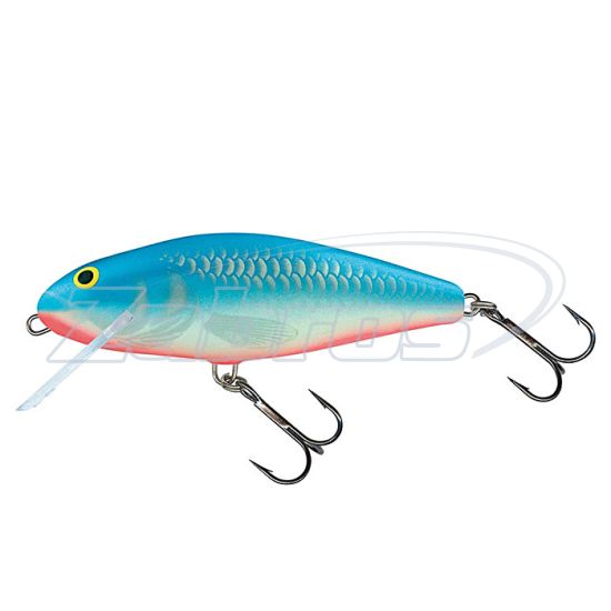 Фото Salmo Perch, 12 см, 40 г, 9 м, PH12SDR-PB