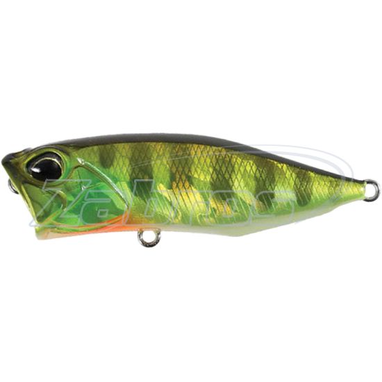 Фото DUO Realis Popper 64, 6,4 см, 9 г, AJA3055