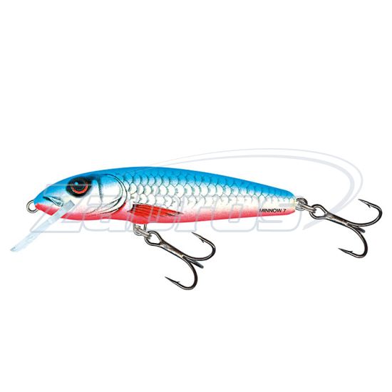 Фото Salmo Minnow, 9 см, 10 г, 1,2 м, M9F-DB