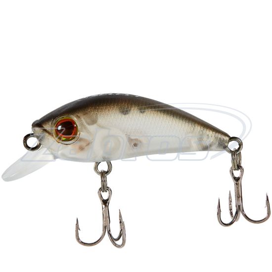 Фото Select Sprint 35SP, 3,5 см, 2,5 г, 0,7 м, 20 Фото Select Sprint 35SP, 3,5 см, 2,5 г, 0,7 м, 20