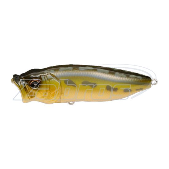 Фото Megabass PopMax 78F, 7,8 см, 14 г, Tonosama Frog